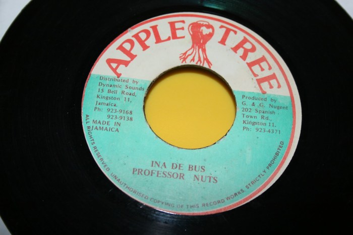 Professor Nuts Inna De Bus Jamaica Dancehall Music 13thStreetPromo 13thStreetPromotions Caribbean