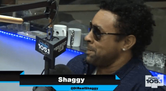 BFCShaggy