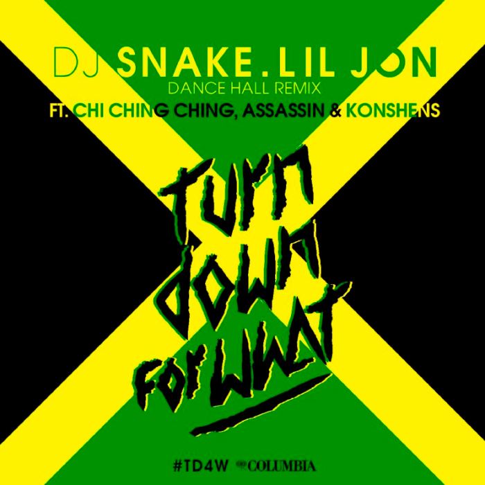 TURN-DOWN-FOR-WHAT-Dancehall-Remix-_1