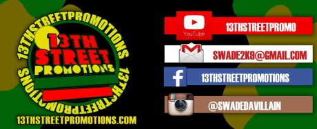 13thstreetbanner2014