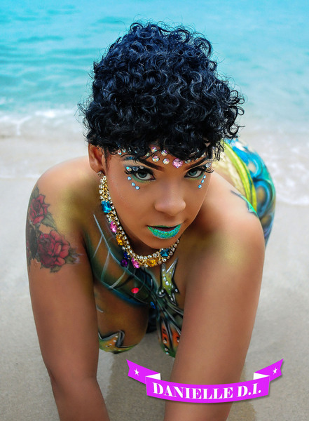 1385310027_Danielle_DI_promo_Photo_2013Q4