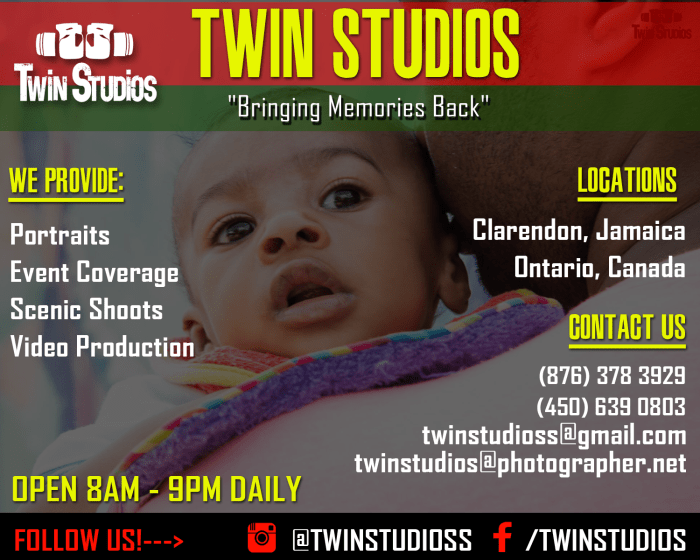 TwinStudios1