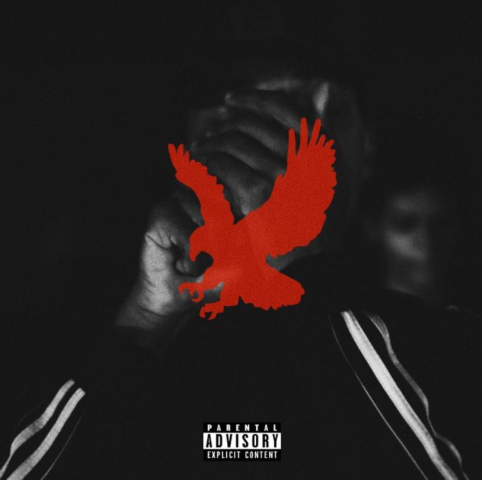 Jamaica, Dancehall, Trap Music, Trap, Hip Hop, JermoRude, Rude Boy Ting, Jermani, 13thStreetPromotions, 13thStreetPromo, ShotByDeth, Deth, Music Video, Music, Music Video, Video, Blog, Blogger, Caribbean,