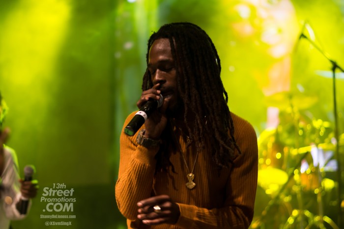 JAmaica, Reggae, Blog, 13thStreetPromotions, 13thStreetPromo, Protoje, For The Culture, Sevana, Dre Island, Jesse Royal, Blvk H3ro, Wayne J, The Royal Blu, Lila Ike, Hope Gardens, Kingston, Deejay,