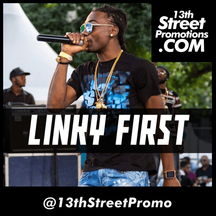 Jamaica, Soca, Caribbean, Linky First, Black Ryno, Dancehall, Blog, 13thStreetPromotions, 13thStreetPromo, ShannyDeLioness, Music, Soca Monarch, Jamaican, Carnival 2017, Carnival, Rock & Come In,