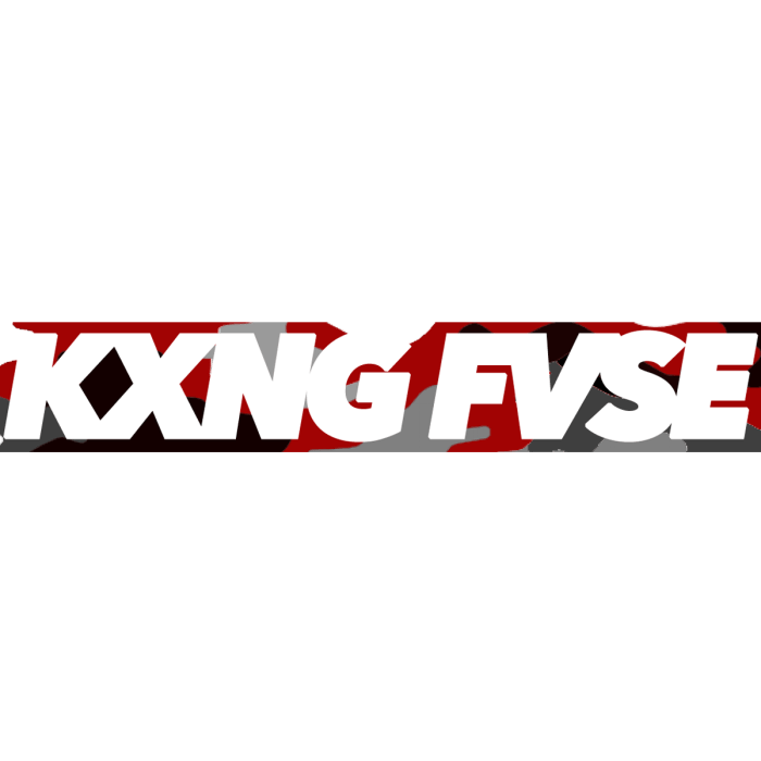Jamaica, Dancehall, Music, DJ, DJ Fuse, DJ Fusion, Fuse876, Fresstyle Chronicles, Deejay, Vybz Kartel, Munga, Blog, 13thStreetPromotions, 13thStreetPromo, Kxng Fvse
