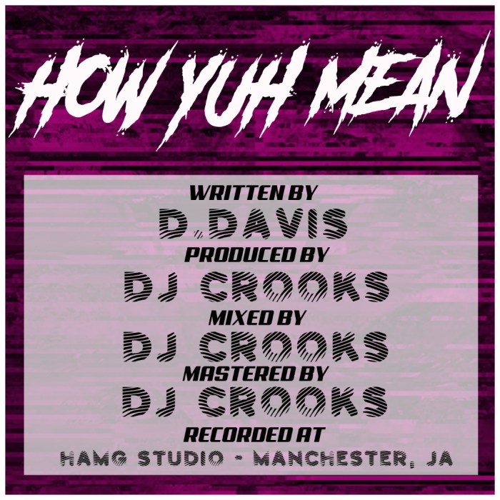 DaSupreme, Jamaica, Reggae, Dancehall, Blog, 13thStreetPromotions, 13thStreetPromo, Smoke, Marijuana, Weed, Ganja, Steam, How Yuh Mean, Music, Manchester, Mandeville, DJ Crooks, LA, Ganja,