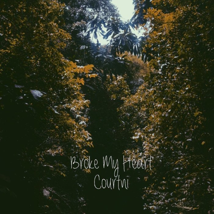 Jamaica, Di Vibe, Music, Courtni, SingCourtniSing, Blog, 13thStreetPromotions, 13thStreetPromo, Broke My Heart, Relationships, Heart, Soundcloud, R&B,