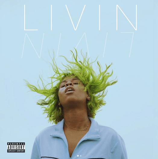 Jamaica, Brooklyn, New York, Alex Mali, Mainly Mali, Freestyle, Livin, Livin Freestyle, Music, Soundcloud, Blog, 13thStreetPromotions, 13thStreetPromo, Trinidad,