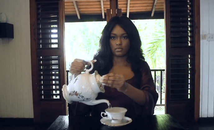 Jamaica, Dancehall, Reggae, Pop Music, Jane Macgizmo, ZincFence Records, Tricia A Bent, Music Video, Too Late, 13thStreetPromotions, 13thStreetPromo, Blog, Video,