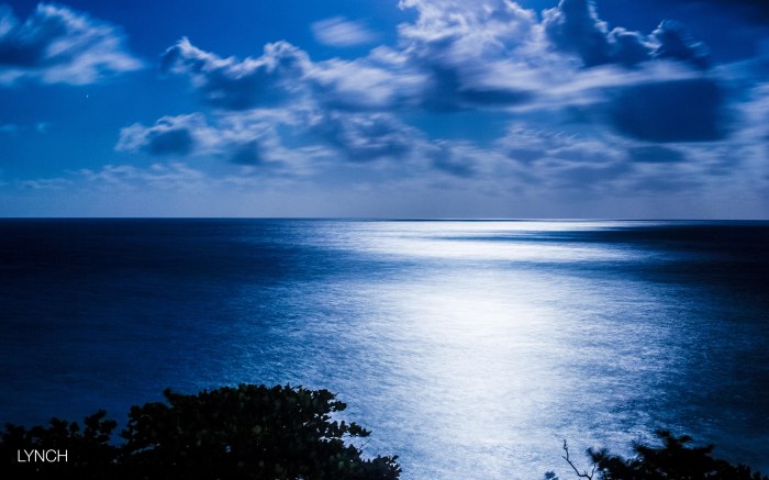 Jamaica Portland, Music, Hip Hop, Rap, Blog, Florida, Caribbean, 13thStreetPromotions, 13thStreetPromo, DaleyHTG, ChanceHTG, Chill Suite, SeenByLynch, LeBossLynch, Music Video, 