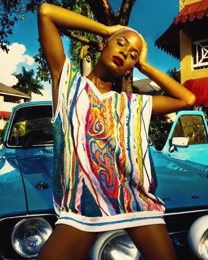 Jamaica, Dancehall, Neo Soul, R&B, Music, Blog, 13thStreetPromotions, 13thStreetPromo, Riki Simmonds, Riki.Complex, Waterfalls, Waterfall, Entertainment, Soundcloud, Troy Baker, GeeJam, Bitcoin, Litecoin,