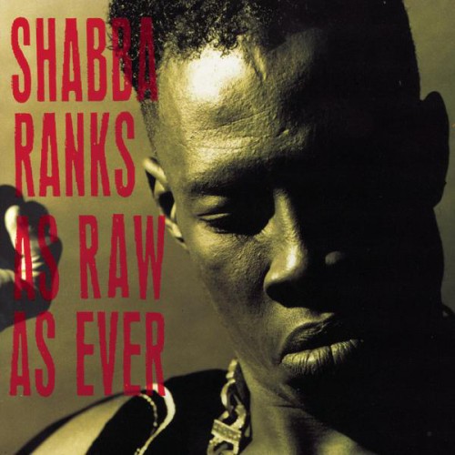 Jamaica, Reggae, Dancehall, Music, Blog, 13thStreetPromotions, 13thStreetPromo, Reggae Grammy, Grammy, The Grammys, Grammy Nominees, Caribbean, For The Culture, Shabba Ranks, As Raw As Ever, 