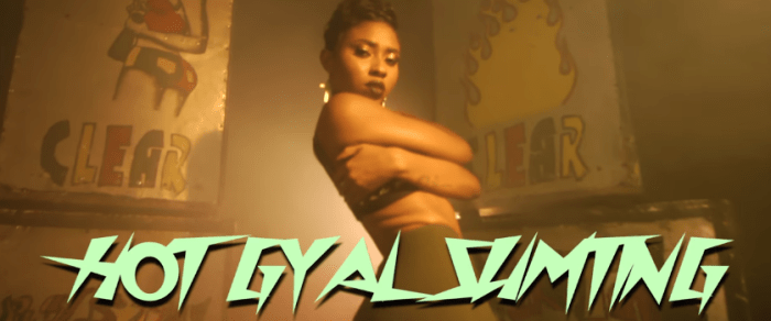 Jamaica, Dancehall, Music, Music Video, Blog, 13thStreetPromotions, 13thStreetPromo, Bella Blair, Toni Blair, Hot Gyal Sumting, Hot Gyal, Caribbean, Entertainment, 13thStreetPromo, 13thStreetPromotions, @TheBellaBlair