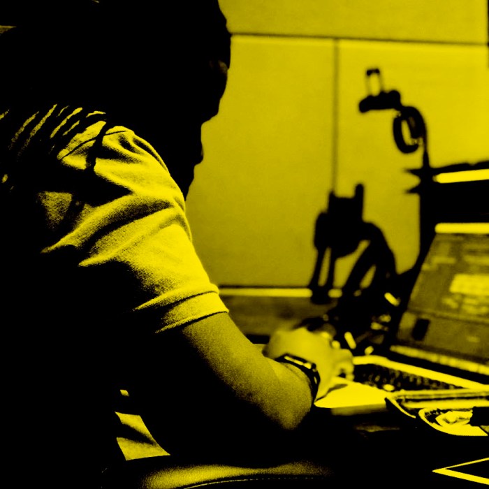 Jamaica, Reggae, Music, Blog, 13thStreetPromo, 13thStreetPromotions, Dale Virgo, Upful, DZL Records, Diztroy, Caribbean, Entertainment, Christopher Martin, Jah Vinci, Geejam,