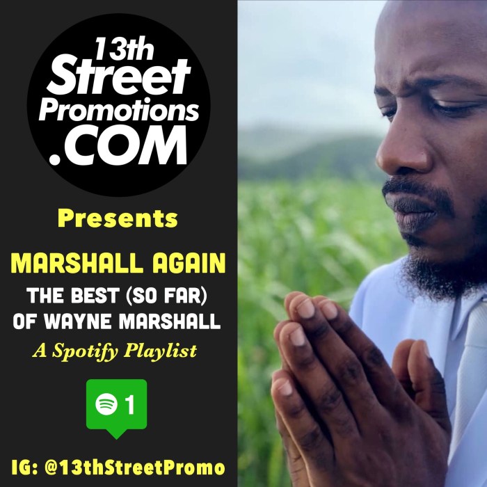 Wayne Marshall, Music, Blog, Jamaica, Dancehall, Reggae, Hip Hop, Gospel Music, 13thStreetPromotions, 13thStreetPromo, Spotify, Spotify Playlist, Caribbean, Playlist, Wayne Marsheezy, Glory To God,