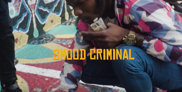 Jamaica, Dancehall, Music, Blog, 13thStreetPromotions, 13thStreetPromo, X3myst, Dre Day Productions, Smood Criminal, Caribbean, Music Video, Entertainment, Dancehall, Deejay