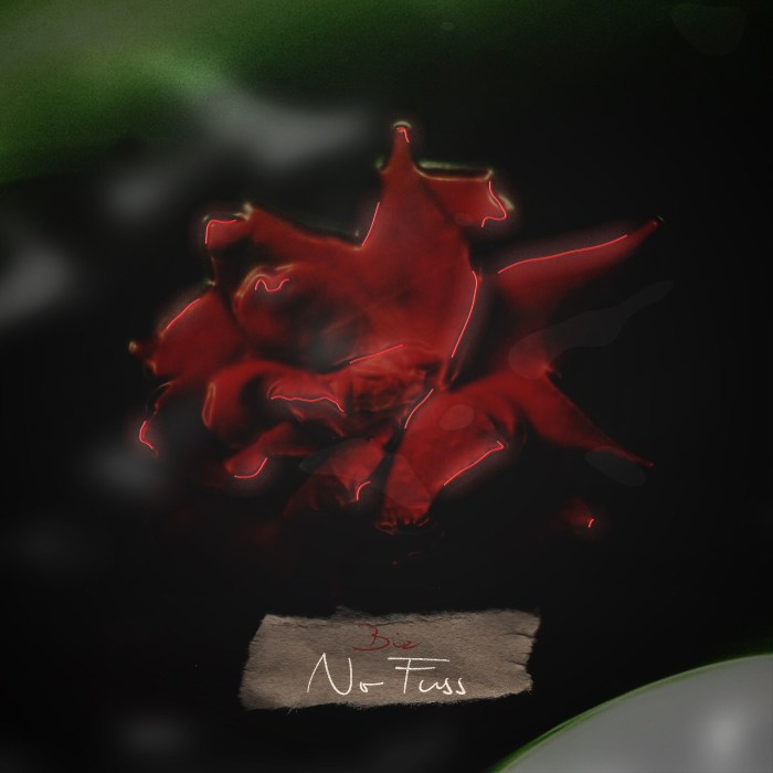 Jamaica, UK, Hip Hop, R&B, Music, Blog, 13thStreetPromotions, 13thStreetPromo, Biz, Bizwys, Wavy Jones, WavyWavyJones, Caribbean, SeenByLynch,