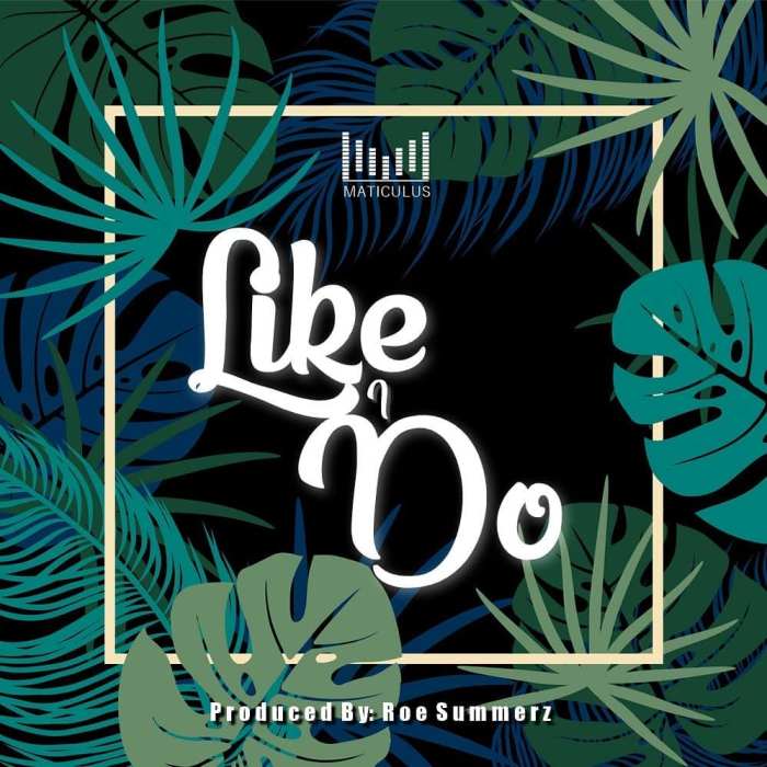 Jamaica, Dancehall, Reggae, Music, Blog, 13thStreetPromotions, 13thStreetPromo, Like I Do, Maticulus Auburn, Roe Summerz, Caribbean, Singer, Entertainment,