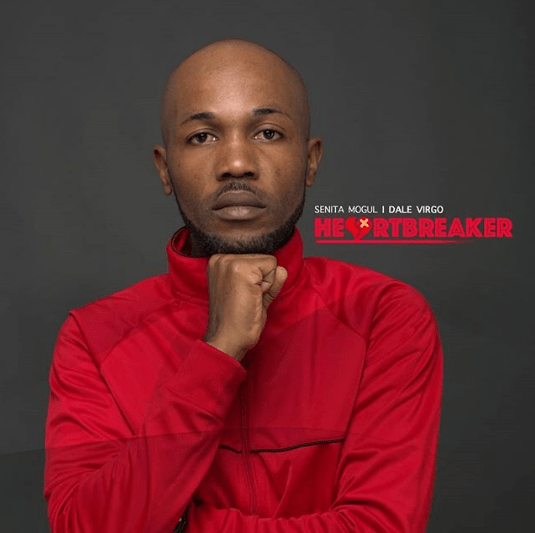 Jamaica, Music, Dancehall, Pop Music, Blog, 13thStreetPromotions, 13thStreetPromo, Senita Mogul, Dale Virgo, DZL Records, Caribbean, Heartbreaker, Youtube,