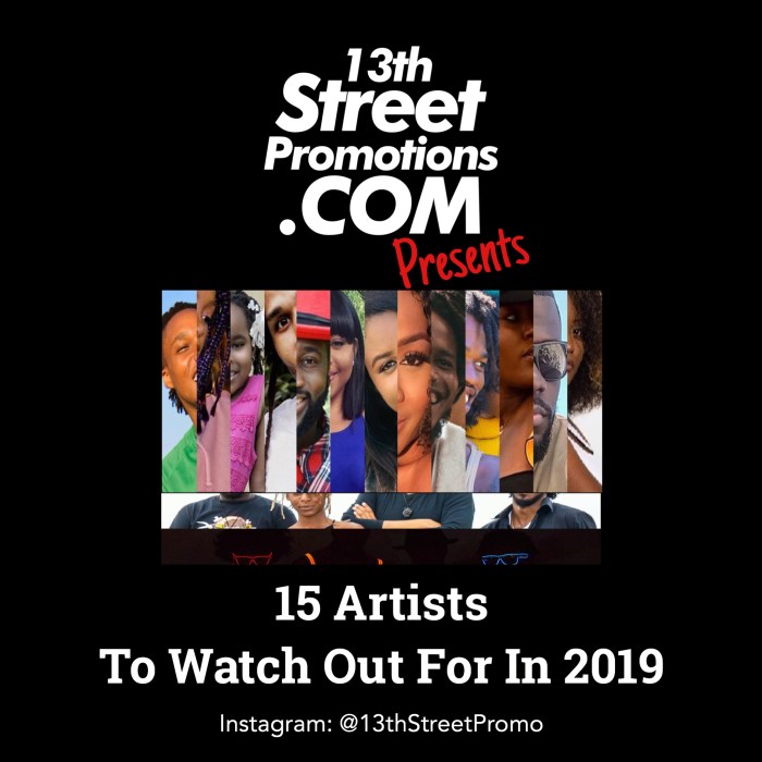 Jamaica, Dancehall, Reggae, EDM, Pop Music, Blues Rock, Electronic Music, Music, Blog, 13thStreetPromotions, 13thStreetPromo, 15 Artists to watch out for in 2019, 2019, Caribbean, List, Artists,