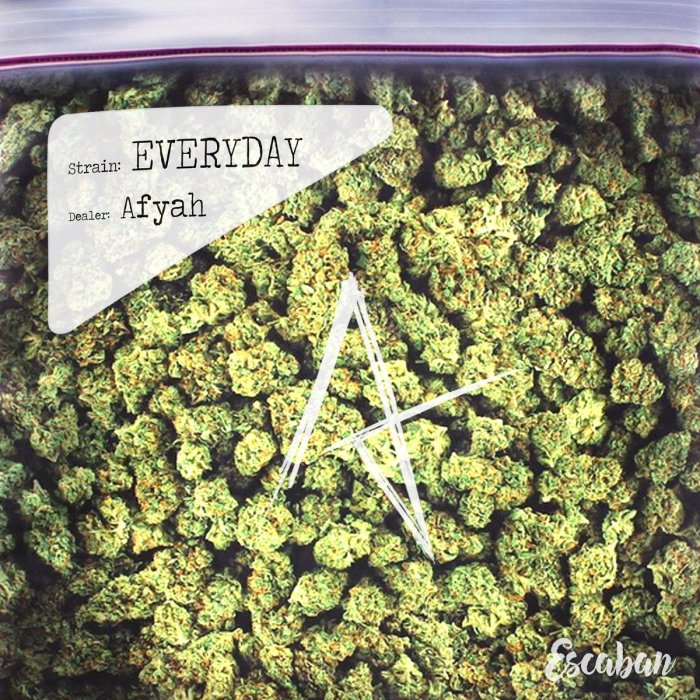 Jamaica, 420, 4/20, Ganja, Marijuana, Weed, Herb, Music, Dancehall, R&B, Music, Blog, 13thStreetPRomotions, 13thStreetPRomo, Afyah, AfyahNation, Weed Smoking, Everyday, Mary Jane, Caribbean,
