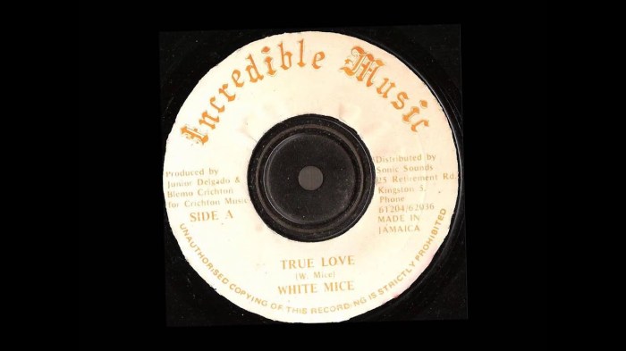 Jamaica, Far East Riddim, 1987, Oldies, Oldies Sunday, Music, Dancehall, Blog, 13thStreetPromotions, 13thStreetPromo, Caribbean, Child Star, Teenage Star,