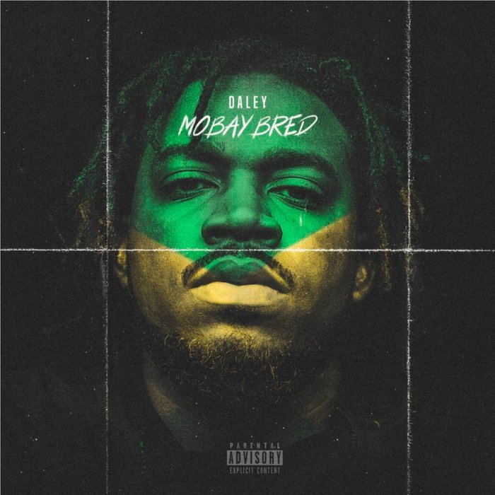 Jamaica, Florida, Miami, NEUYU, Daley, DaleyHTG, Music, Video, Blog, 13thStreetPromotions, 13thStreetPromo, Mobay, Mobay Bred, Caribbean, Diego Jeanty