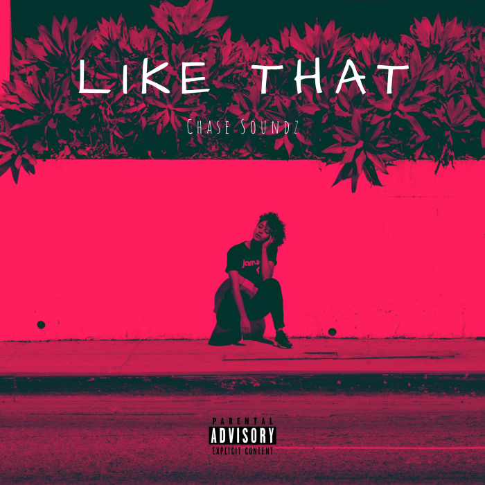 Chase Soundz - Like That Music Hip Hop Jamaica Blog 13thStreetPromo 13thStreetPromotions Caribbean Cuba Mobay Texas Love