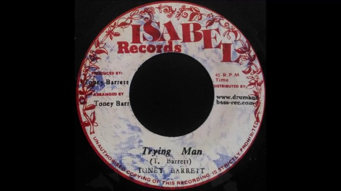 Toney Barrett Trying Man Reggae Music Blog 13thStreetPromo 13thStreetPromotions Caribbean 1978 Isabel Records Old School Oldies Sunday Oldies