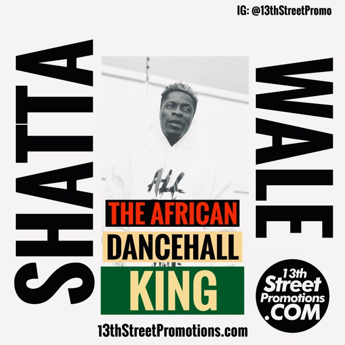 Ghana Africa Dancehall Afrobeats Pop Music Blog 13thStreetPromotions 13thStreetPromo Shatta Wale Playlist The African Dancehall King African King Shatta Movement Spotify Tidal Jamaica Caribbean Mavado Shenseea Burna Boy Medikal Mz Vee