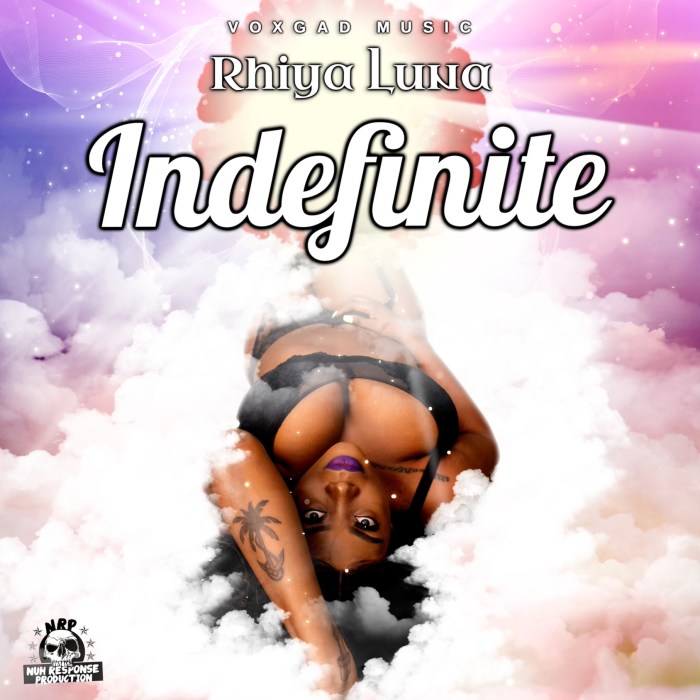 Jamaica Boston Dancehall Music Blog 13thStreetPromotions 13thStreetPromo Indefinite Relationships VoxGad Music Singer Caribbean