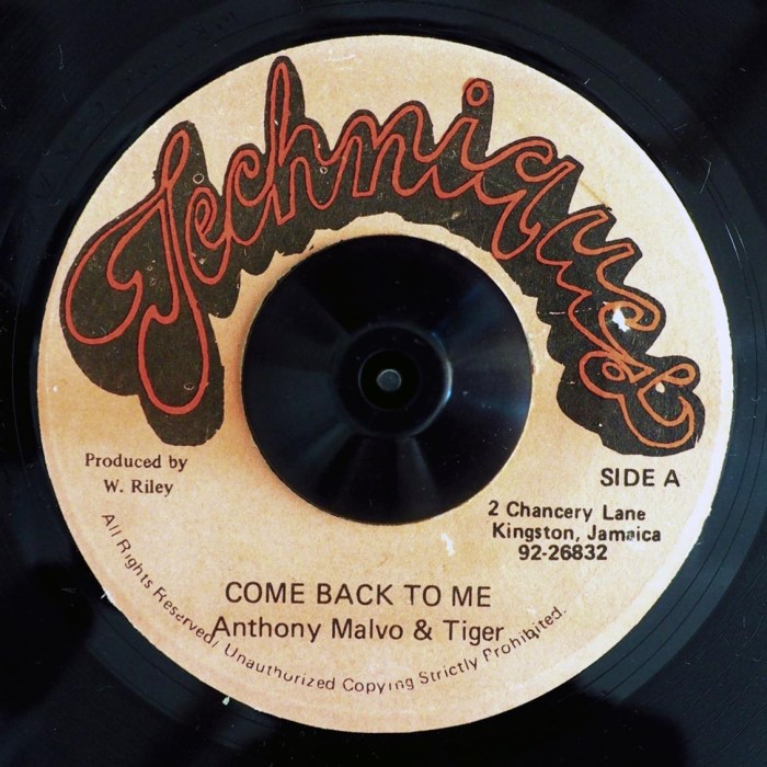 Jamaica Dancehall Music Blog 13thStreetPromo 13thStreetPromotions Come Back To Me Anthony Malvo Tiger Deejay Caribbean Babyface Two Occasions