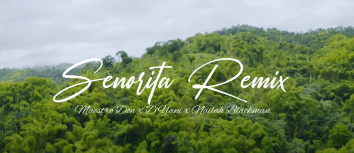 Maestro Don x D'Yani x Nailah Blackman - Senorita (Remix) on 13thStreetPromotions.com