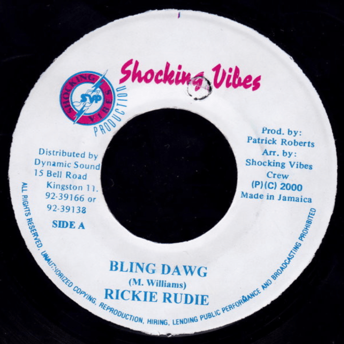 Ricky Rudie - Bling Dawg for 13thStreetPromotions.com #Jamaica #BlingDawg #Music #Dancehall #13thStreetPromotions #Caribbean #Elev8TheAlbum