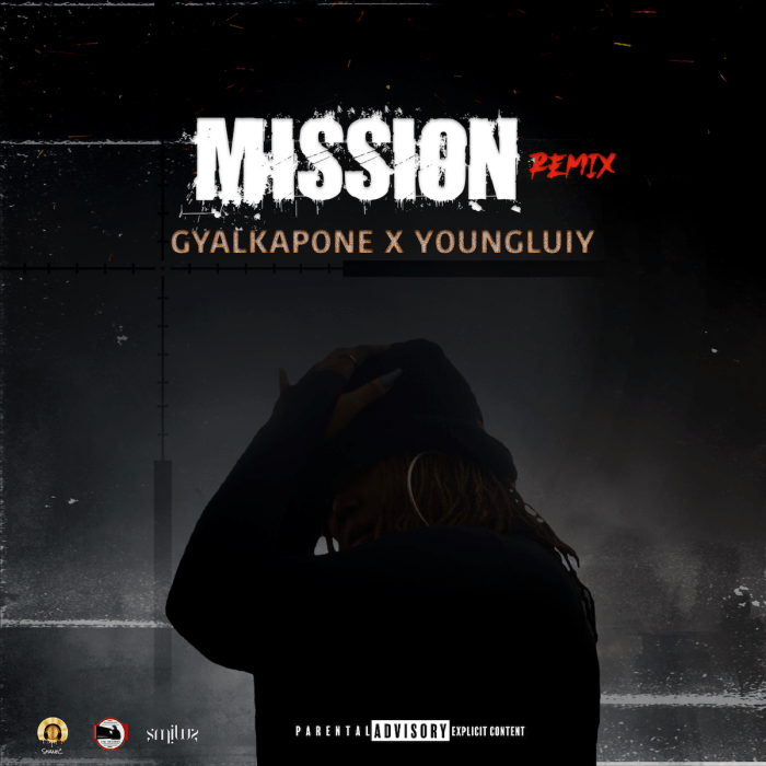 GyalKapone "Mission (Remix)" ft. Young Luiy on 13thStreetPromotions.com #Jamaica #Antigua #Dancehall #Music #13thStreetPromotions #GyalKapone #YoungLuiy #Mission #Robbery #Caribbean