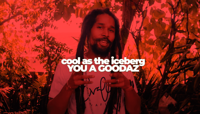 EvaFlow "Goodaz Silhouette Remix" on 13thStreetPromotions.com #Jamaica #NFT #Web3 #EvaFlow #IAmEvaFlow #Music #Dancehall #Goodaz #Caribbean #SkyStarterCreative