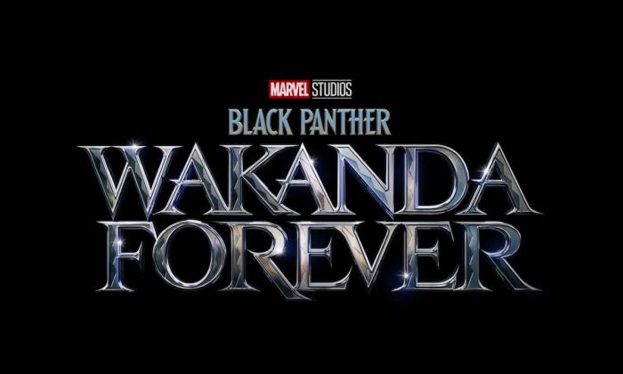 Black Panther: "Wakanda Forever" on 13thStreetPromotions.com #Jamaica #Wakanda #Marvel #Music #13thStreetPromotions #BlackPanther #WakandaForever #BlackPanther2 #BlackPantherWakandaForever #Tems #BobMarley #NoWomanNoCry #Caribbean #ChadwickBoseman
