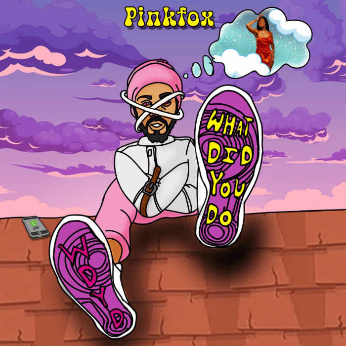 PinkFox - "W.D.Y.D" on 13thStreetPromotions.com #Jamaica #Dancehall #DancehallPop #PopMusic #13thStreetPromotions #PinkFox #GPP #JadaKingdom #Singer #PinkFoxOfficial #Caribbean #WDYD #WhatDidYouDo