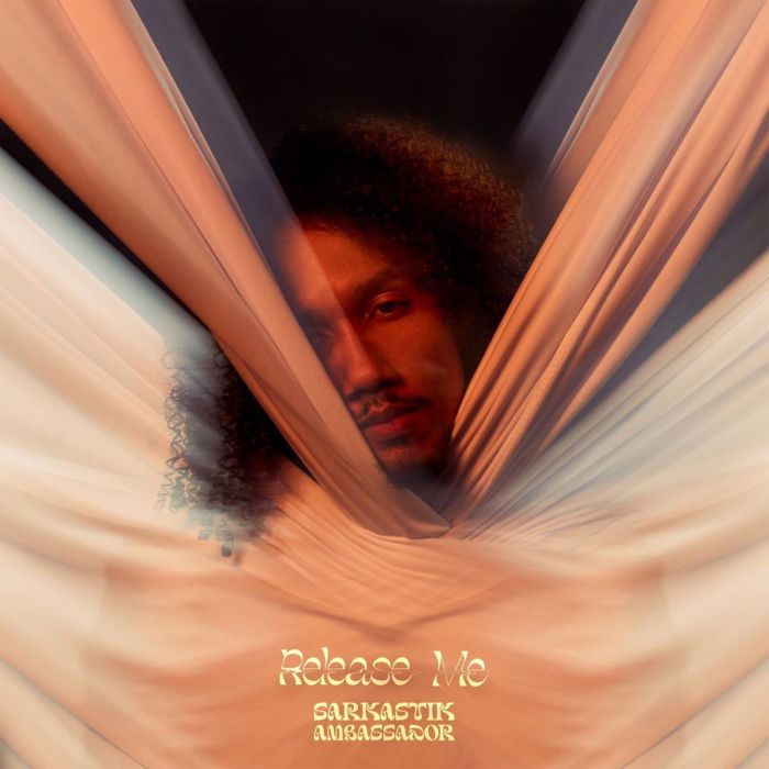 Sarkastik Ambassador "Release Me" on 13thStreetPromotions.com #TrinidadandTobago #Trinidad #Trini #PopMusic #13thStreetPromotions #SarkastikAmbassador #Music #Caribbean
