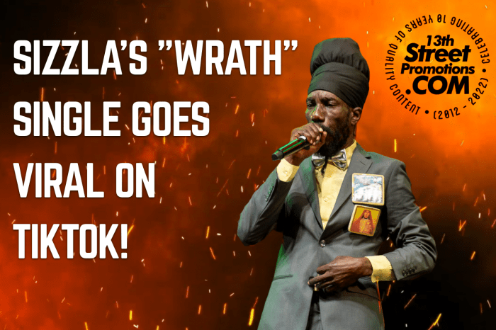Sizzla Kalonji on 13thStreetPromotions.com #Jamaica #Dancehall #Music #13thStreetPromotions #Sizzla #SizzlaKalonji #Wrath #BlackOutRiddim #2004 #TikTok #Caribbean #Dancehall #Reggae #Kalonji