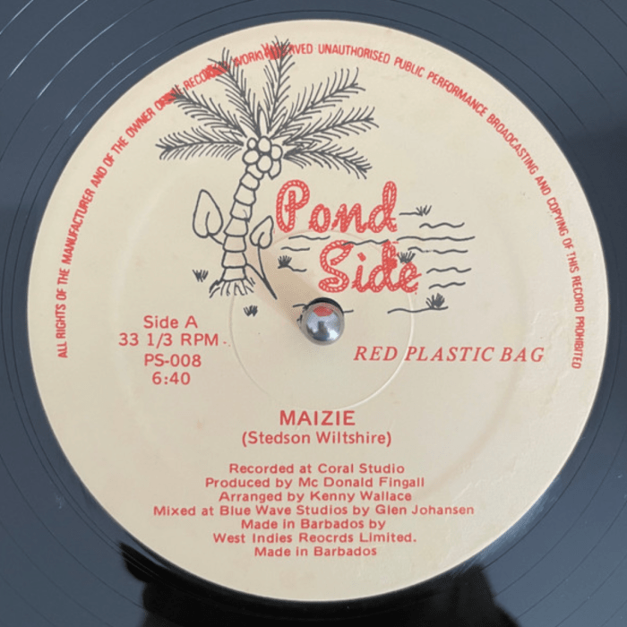 Red Plastic Bag "Maizie" on 13thStreetPromotions.com #Barbados #RedPlasticBag #RPB #Christmas #Maizie #SantaClaus #Music #Calypso #Soca #Music #Christmas2022 #Caribbean