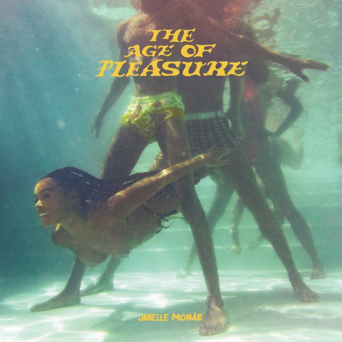 Janelle Monae "The Age Of Pleasure" on 13thStreetPromotions.com #Jamaica #Kansas #Reggae #Dancehall #PopMusic #13thStreetPromotions #JanelleMonae #TheAgeOfPleasure #DerrickHarriott #MadCobra #BarringtonLevy #SisterNancy #Patra #Sample #Caribbean