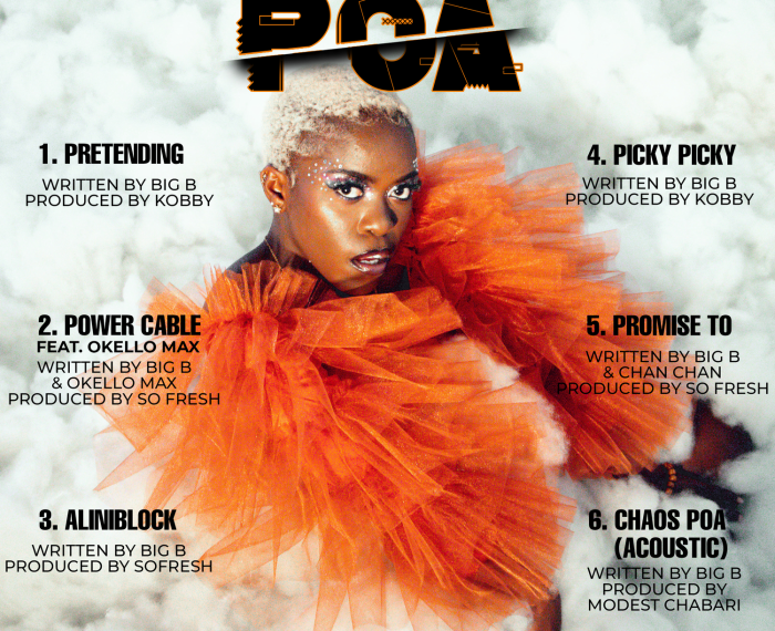 Brandy Maina "Chaos Poa" on 13thStreetPromotions.com #Kenya #Nairobi #Afrosounds #Dancehall #Afrobeats #Music #13thStreetPromotions #BrandyMaina #ChaosPOA #Africa