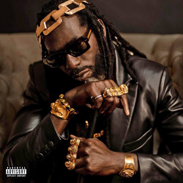 Buju Banton "Born For Greatness" Album on 13thStreetPromotions.com #Jamaica #Dancehall #Reggae #Music #13thStreetPromotions #BujuBanton #BornForGreatness #Album #Gargamel #Caribbean