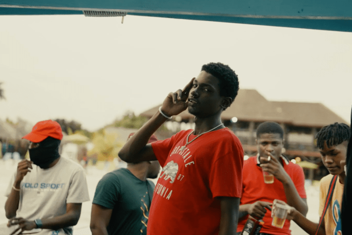 Najeeriii "Big Thief" on 13thStreetPromotions.com #Jamaica #Dancehall #Senegal #Music #13thStreetPromotions #Najeeriii #BigThief #MusicVideo #Caribbean