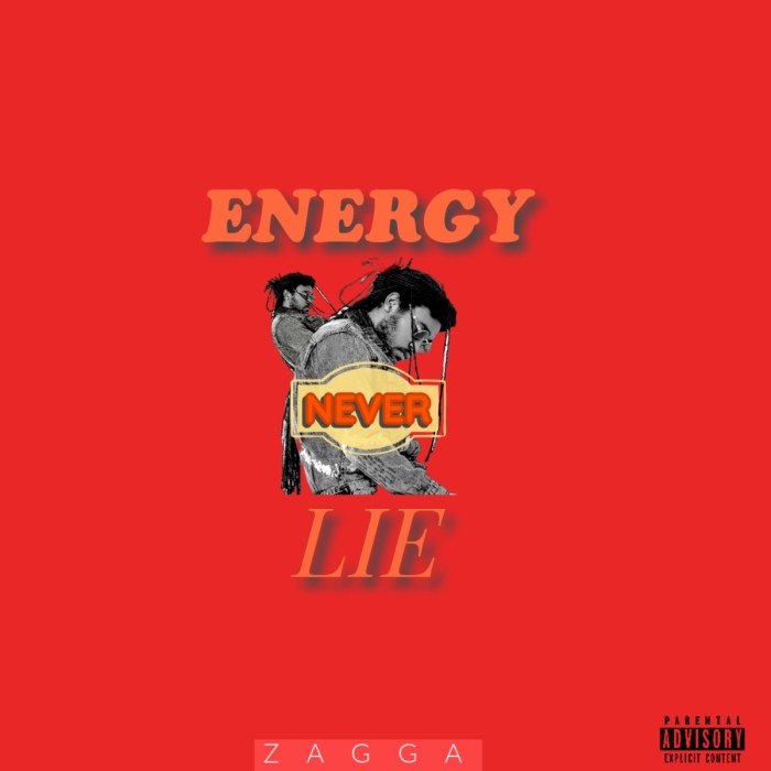 Zagga "Energy Never Lie" on 13thStreetPromotions.com #Jamaica #Reggae #Dancehall #Music #13thStreetPromotions #Zagga #ZaggaMusic #EnergyNeverLie #Album #Caribbean