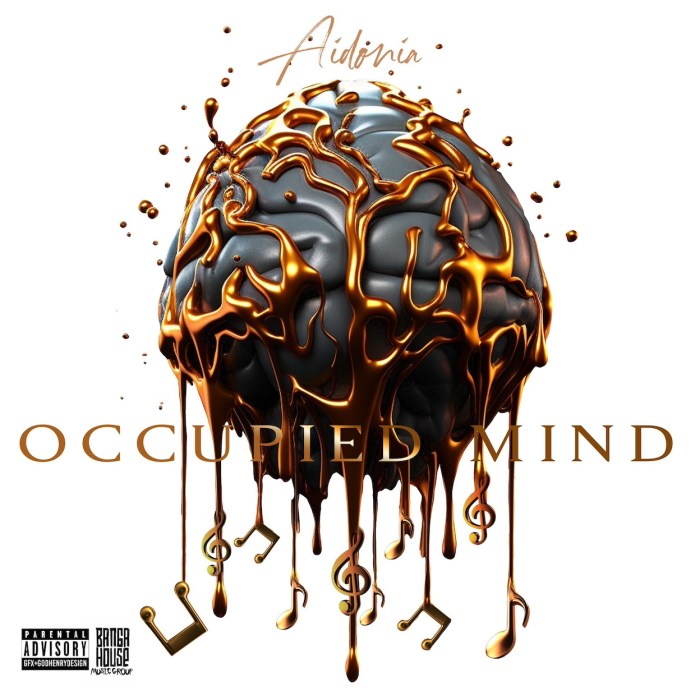 Aidonia "Occupied Mind" on 13thStreetPromotions.com #Jamaica #Dancehall #Music #13thStreetPromotions #Aidonia #Aidonia4thGenna #OccupiedMind #BangaHouseMusicGroup #Govana #4thGenna #Caribbean #Album