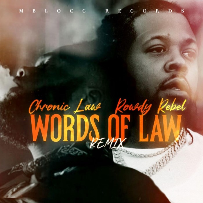 Chronic Law x Rowdy Rebel "Words Of Law (Remix)" on 13thStreetPromotions.com #Jamaica #NewYork #Brooklyn #HipHop #NYDrill #Dancehall #Music #13thStreetPromotions #ChronicLaw #RowdyRebel #GS9 #WordsOfLawRemix #WordsOfLaw #Caribbean