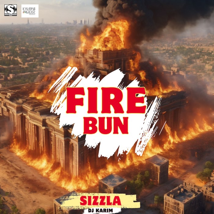 Sizzla "Fire Bun" on 13thStreetPromotions.com #Jamaica #Dancehall #Music #13thStreetPromotions #Sizzla #DJKarim #FireBun #StainlessRecords #Caribbean